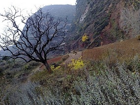 Village & Mountain Trail Adventure