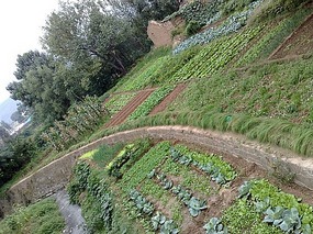 Village & Mountain Trail Adventure