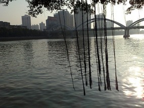 New Passport & City Food Walk