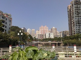New Passport & City Food Walk
