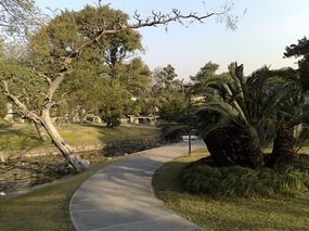 Beautiful Liuhuahu Park & Pets On Hooks