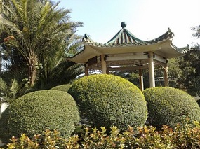 Beautiful Liuhuahu Park & Pets On Hooks