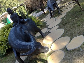 Beautiful Liuhuahu Park & Pets On Hooks