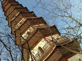 Chigang Pagoda & New Tall Things Around