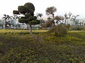 Chigang Pagoda & New Tall Things Around