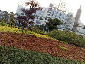 Chigang Pagoda & New Tall Things Around