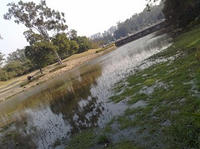 The Beautiful North Eastern Greens of Guangzhou Ci