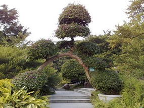The Beautiful North Eastern Greens of Guangzhou Ci