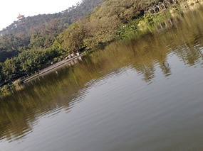 The Beautiful North Eastern Greens of Guangzhou Ci
