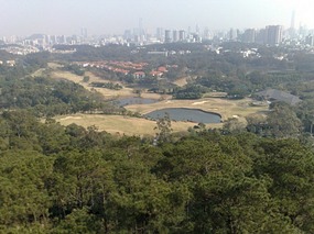 The Beautiful North Eastern Greens of Guangzhou Ci