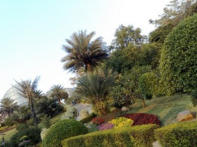 The Beautiful North Eastern Greens of Guangzhou Ci