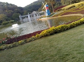 The Beautiful North Eastern Greens of Guangzhou Ci