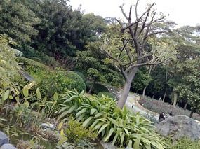 The Beautiful North Eastern Greens of Guangzhou Ci