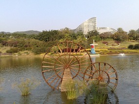The Beautiful North Eastern Greens of Guangzhou Ci