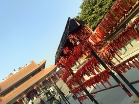 What a Fangcun day I had today!