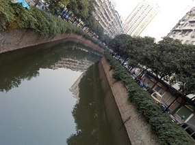 The Lush Green Results of Massacres and Martyrs