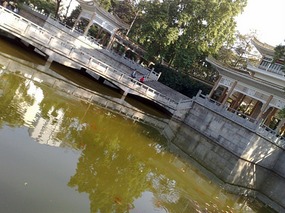 The Lush Green Results of Massacres and Martyrs