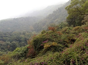 Baiyun Shan and Bus No 24 Adventure
