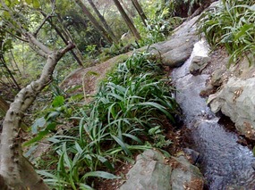 Baiyun Shan and Bus No 24 Adventure