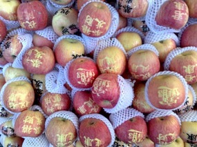 Haizhuang Temple &  Tongfu Area  Haizua