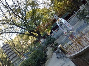 Haizhuang Temple &  Tongfu Area  Haizua