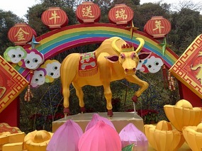 Its The Chinese Lantern Festival