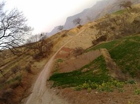 The Beginnings of the Ancient Silk Road 