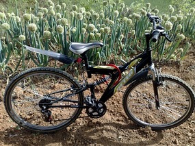 Huge Bike Ride & Jing Quan Shan