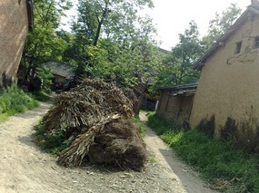 Huge Bike Ride & Jing Quan Shan