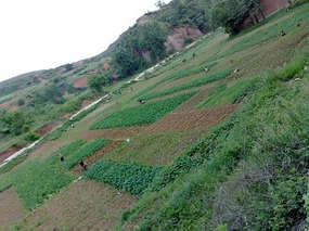 Over The Mountain Connection Bike Ride
