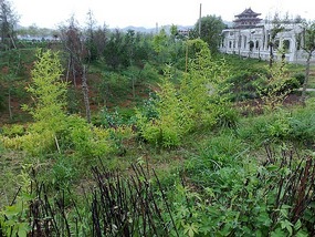 River Park Walk & Over The Mountain Temple Ride