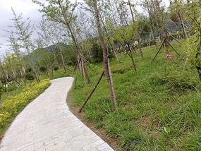 River Park Walk & Over The Mountain Temple Ride