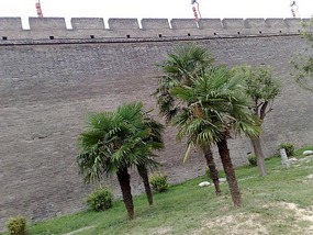 A Short Vist To Xian