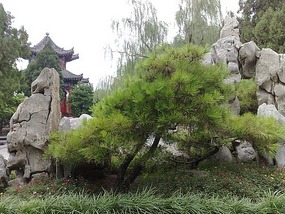 Springs, Lakes BBQ & Temples in Ji'Nan