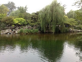 Springs, Lakes BBQ & Temples in Ji'Nan