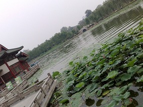 Springs, Lakes BBQ & Temples in Ji'Nan