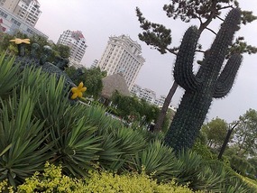 Weihai  Lighthouse & Foreshore Walk