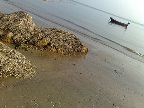 Liugong Dao Adventure