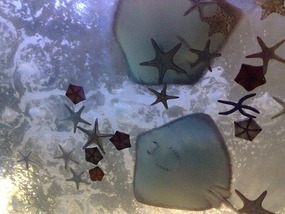 Art Museum, Churches & Underwater World