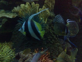 Art Museum, Churches & Underwater World