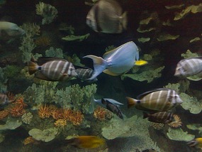 Art Museum, Churches & Underwater World