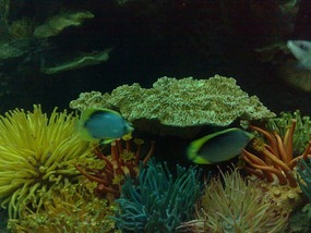 Art Museum, Churches & Underwater World