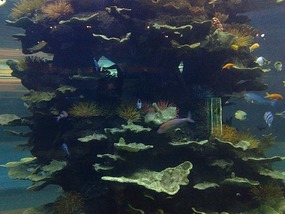 Art Museum, Churches & Underwater World