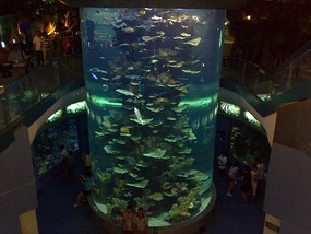 Art Museum, Churches & Underwater World
