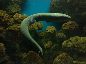 Art Museum, Churches & Underwater World