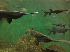 Art Museum, Churches & Underwater World