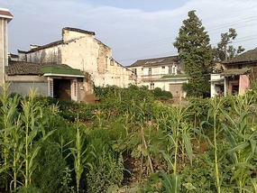 Beautiful Tunxi Town Adventure