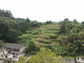 Tai Bai Tower, Xinan Stelae Garden, Tai Ping Xin T