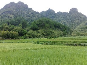 Qi Yun Shan Adventure
