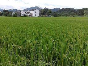 Qi Yun Shan Adventure